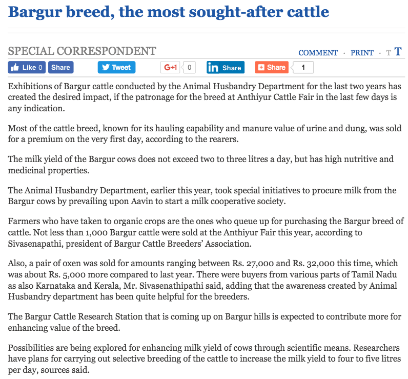 Bargur - Cattle Breed