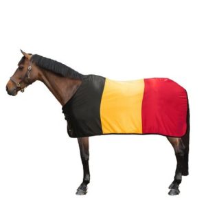 Horse breeds originating in Belgium. - Native Breed.org